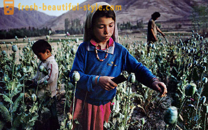 Afghanistan through the lens of Steve Mc Curry