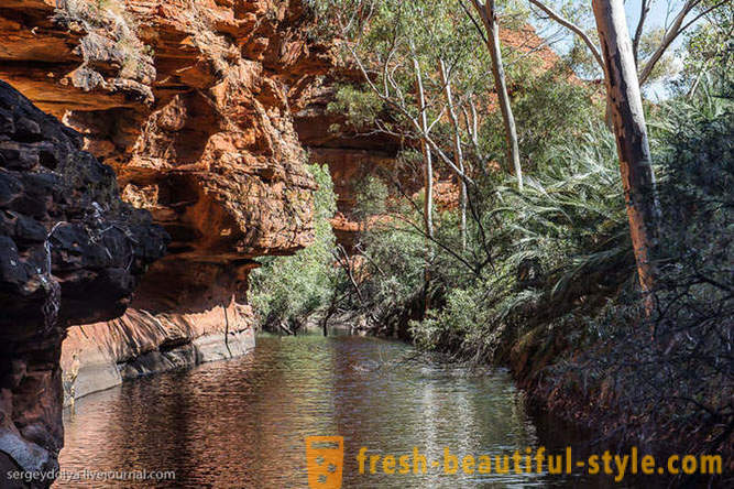 Walk through the Kings Canyon in Australia