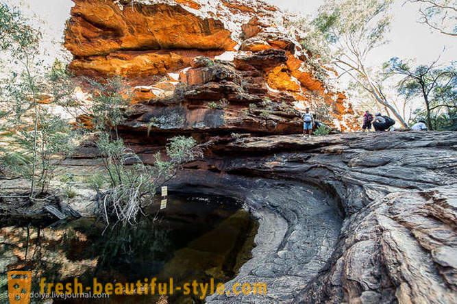 Walk through the Kings Canyon in Australia