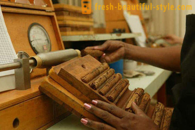 The process of creating the best of Cuban cigars
