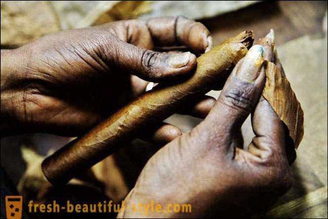 The process of creating the best of Cuban cigars