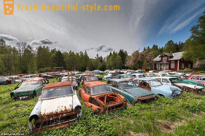 Cemetery of cars in Sweden