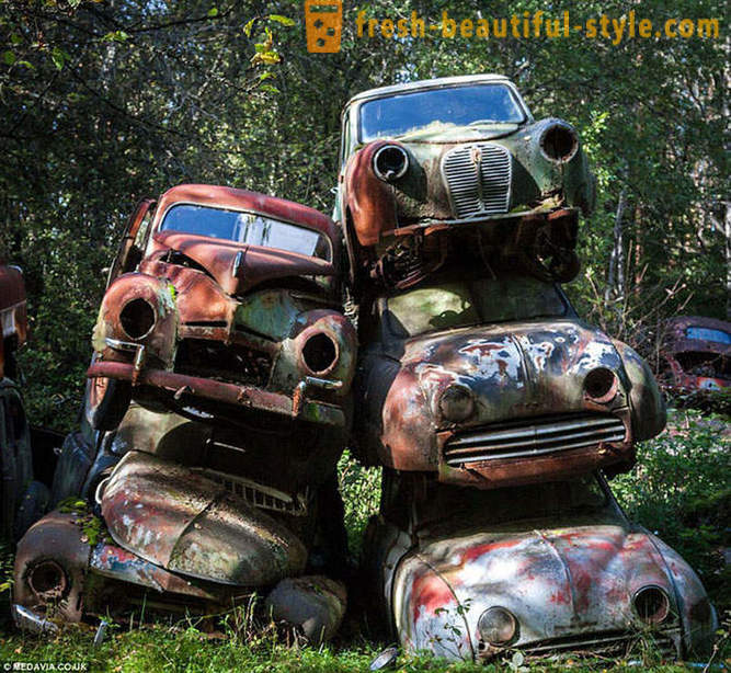 Cemetery of cars in Sweden