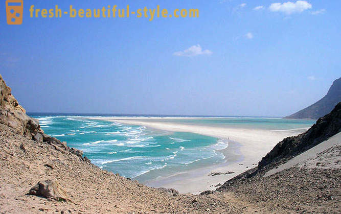 Travel to the island of Socotra