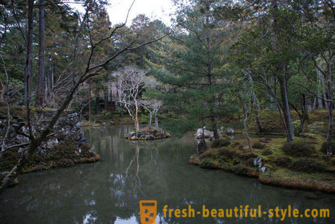 Moss garden in Japan