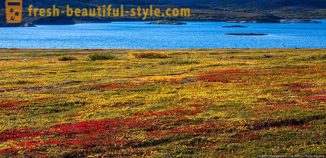 Autumn on the Kola Peninsula