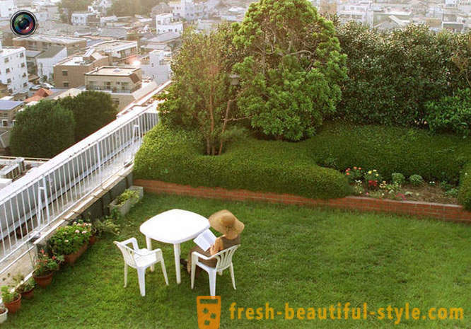 Beautiful gardens on the roofs of houses