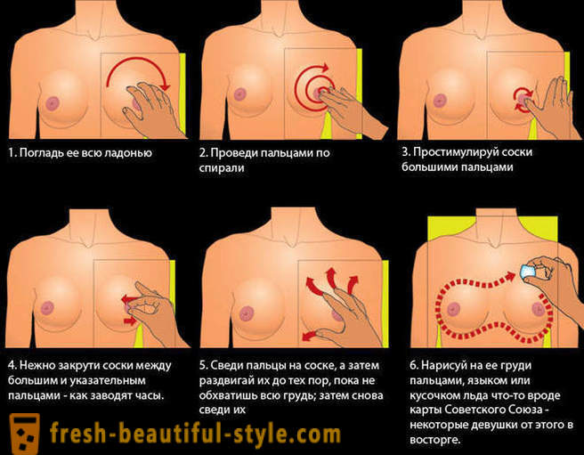 Guide to the female breast