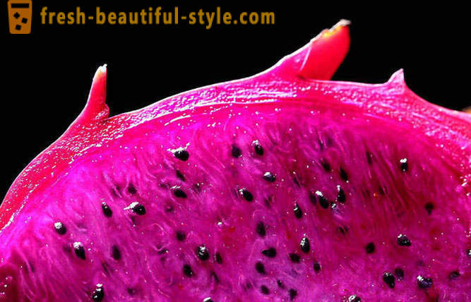 Guide to Exotic Fruits