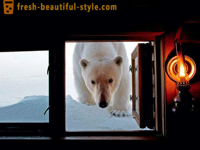 Best pictures from the 2012 National Geographic