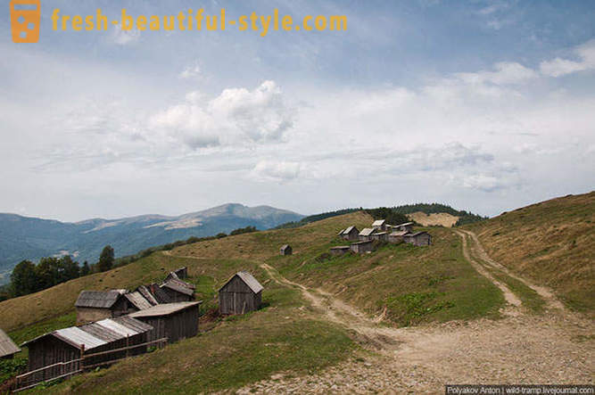 Over the vast expanses of the Carpathians