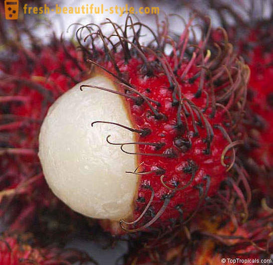 20 exotic fruits, which you did not know