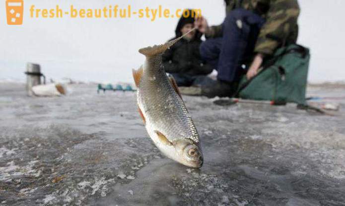Fishing in Khanty-Mansiysk. River Khanty-Mansiysk