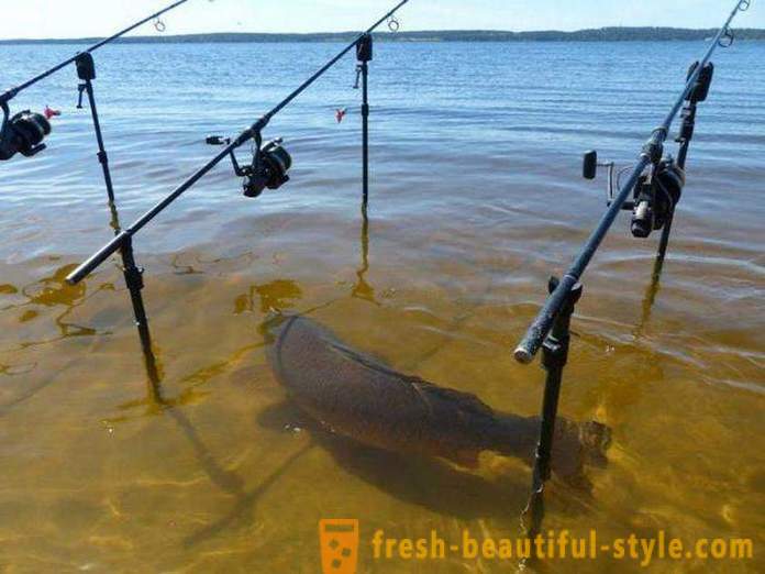 Fishing in Kramatorsk and beyond - features and interesting facts