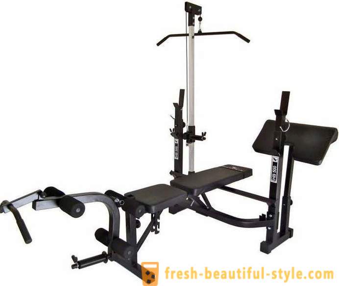 Exerciser weight bench