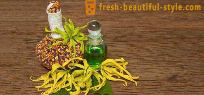 Ylang-ylang hair: useful properties, method of use