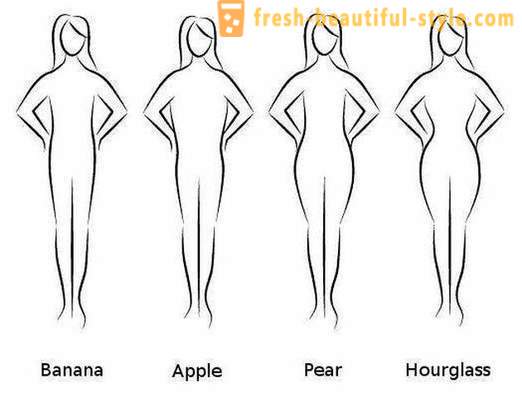 Narrow waist, slim hips: features of the figure and expert advice