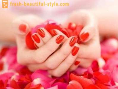 Canni, gel nail polish: palette, manufacturer, reviews