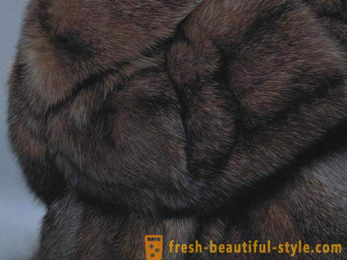 How to distinguish between furs from sable fur marten?