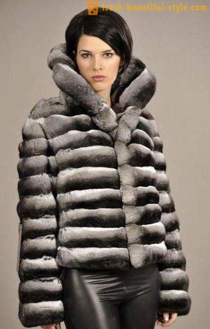 Chinchilla coats. Rabbit fur coat from a chinchilla
