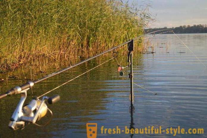 Fishing in the Ryazan region on the Oka River and other water bodies
