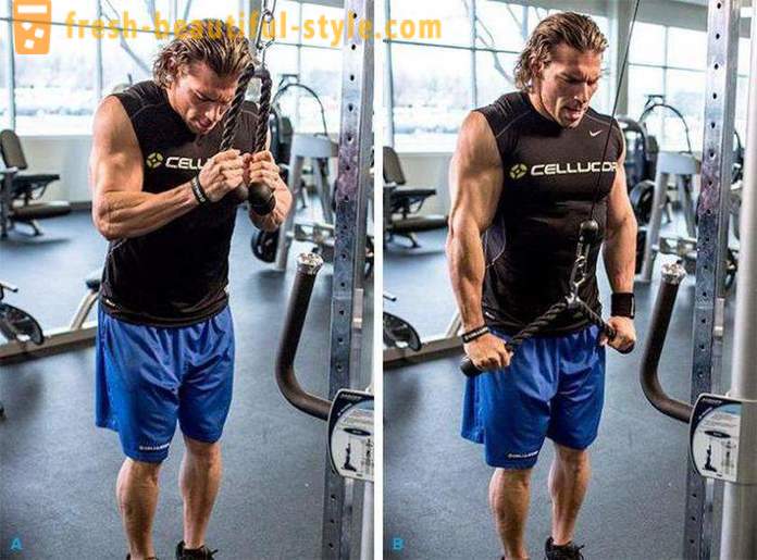 The best exercise triceps in the gym