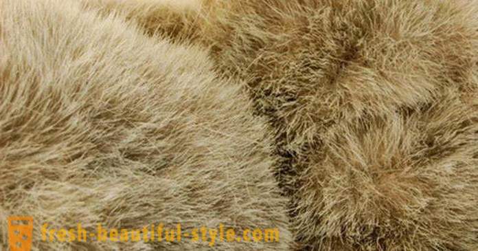 How to distinguish natural from artificial fur: the main ways