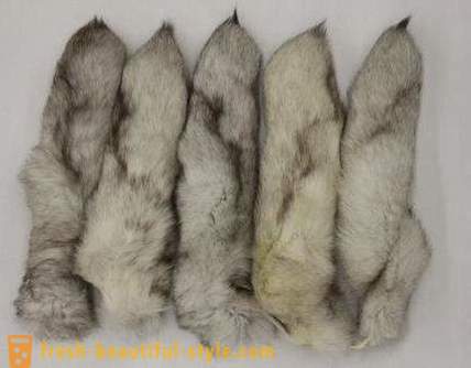 How to distinguish natural from artificial fur: the main ways