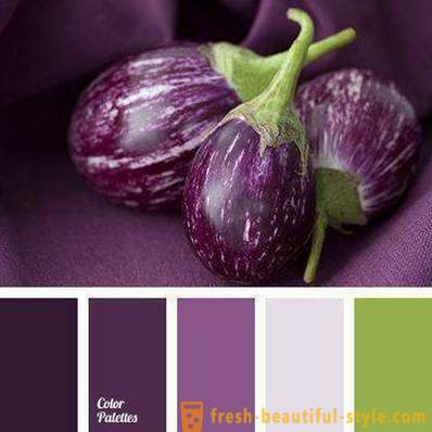 The color of eggplant in clothes: what to combine?