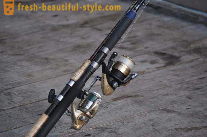 Top spinning for jig: the rating and reviews