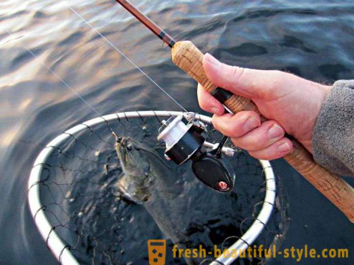 Ultralight spinning. Fishing spinners: description, specifications, reviews