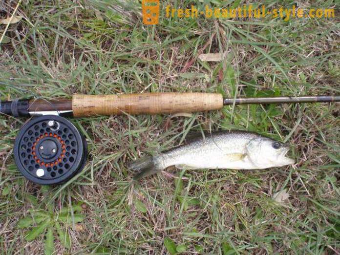 Fly fishing tackle for beginners. Fly fishing. Fishing