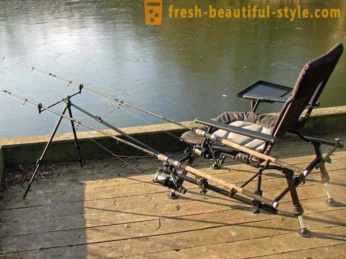 How to choose a feeder rod and reel for beginners? Feeder rod for carp