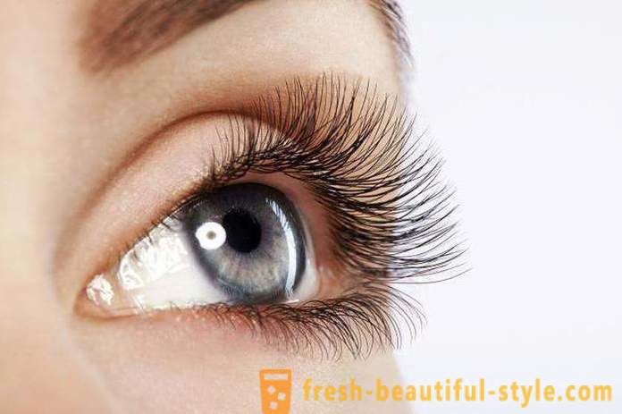 How to paint eyelashes mascara (expert advice)