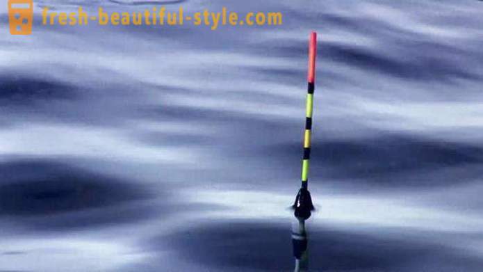 Float fishing with his hands. Species glowing float for night fishing, float-nod for summer fishing, electronic float