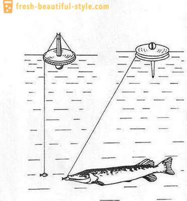 Catching pike circle: The features of the method. Pike fishing on the circles on the river, on the lake