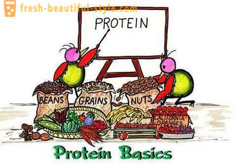 What are proteins? Who and how to take protein