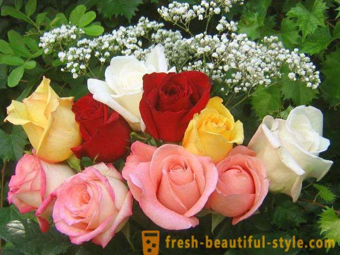 Bouquet of beautiful roses in a gift