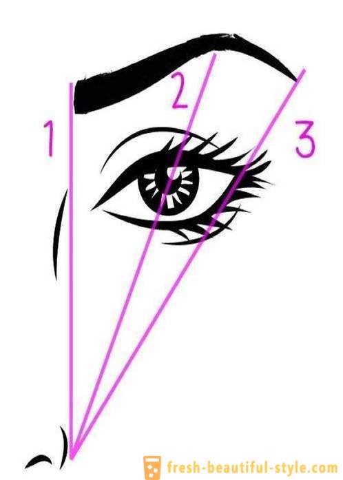 How to draw eyebrows? eyebrow makeup