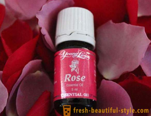 Essential rose oil: application, homemade recipe reviews