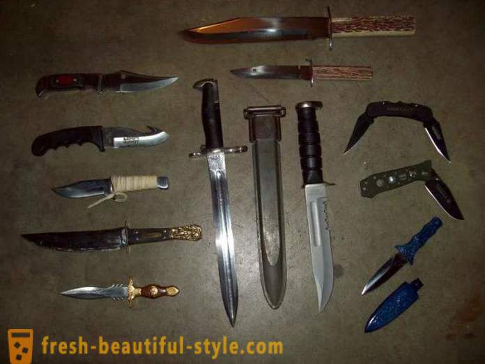 The main types of knives. Types of folding knives