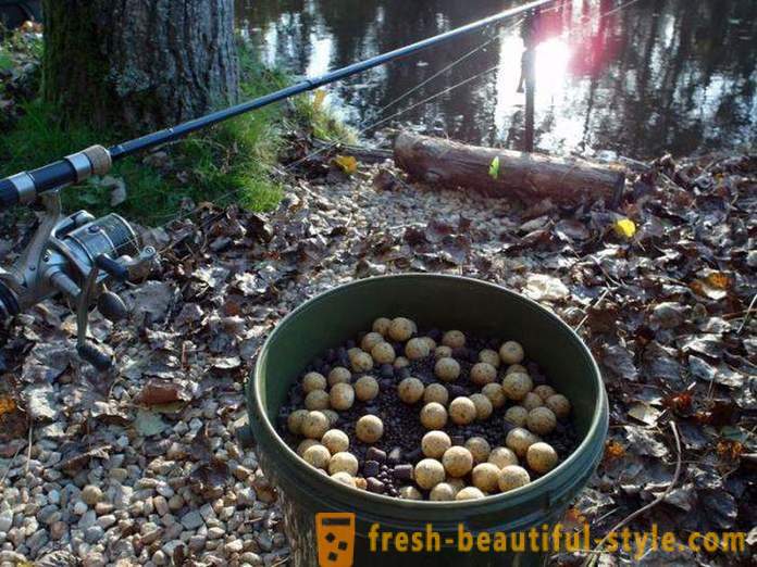 Float tackle fishing for carp (photo)