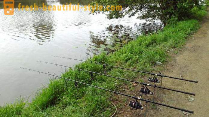 Float tackle fishing for carp (photo)