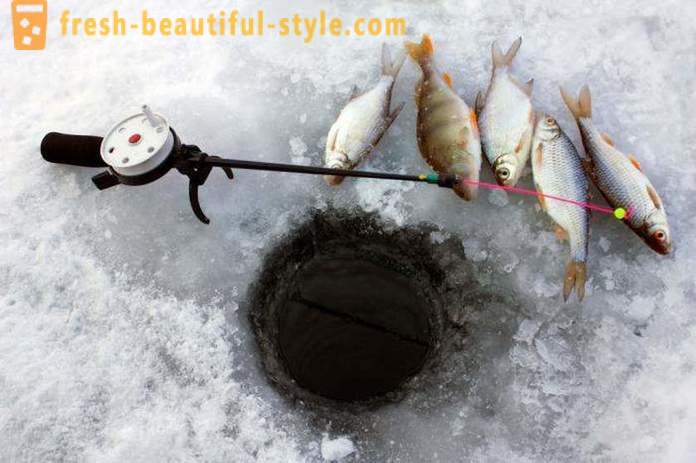 Roach fishing in the winter. Tackles for catching roach winter