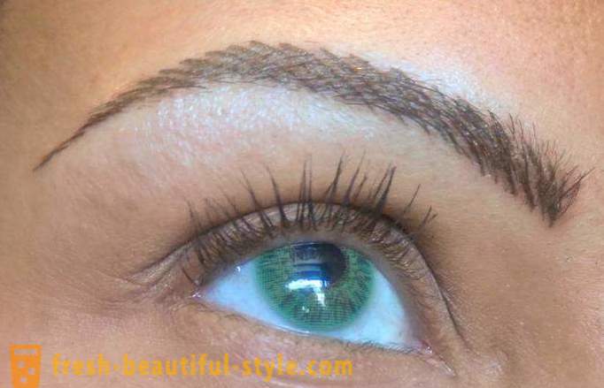 Hair method of tattooing eyebrows: reviews and photos