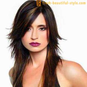 Fancy Hairstyle. Men's and women's hairstyles