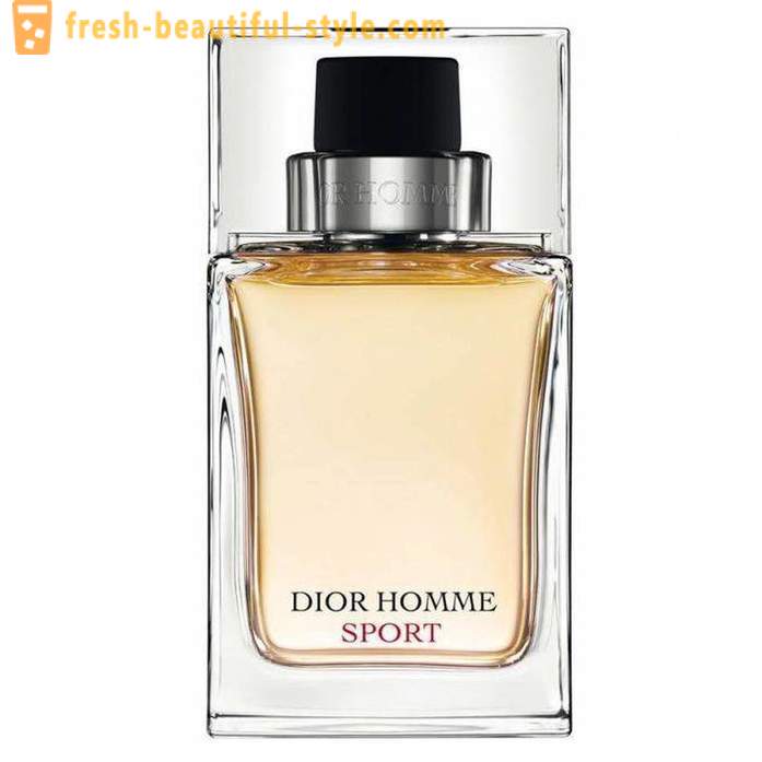 Dior Homme Sport men: description, reviews