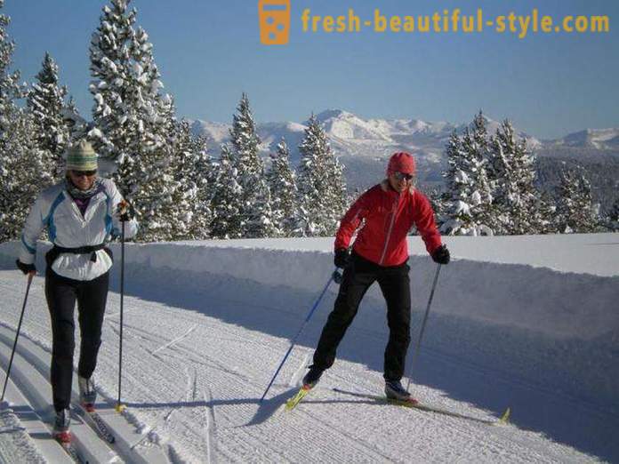 How to choose skis for skating course: tips for beginners