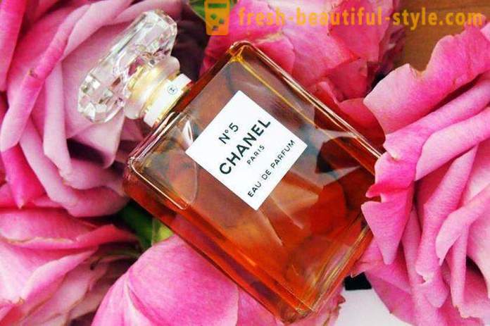Cosmetics Coco Chanel: reviews. Perfume Coco Noir Chanel, Lipstick Chanel Rouge Coco Shine