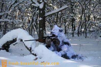Wolf hunting. Methods of hunting wolves